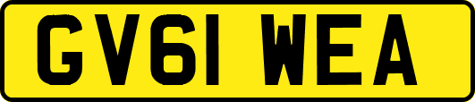 GV61WEA