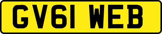 GV61WEB