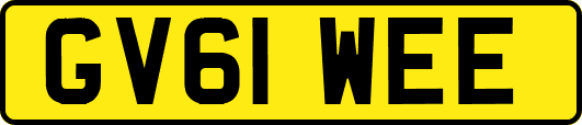GV61WEE