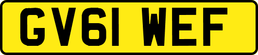 GV61WEF