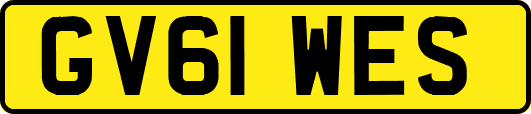 GV61WES