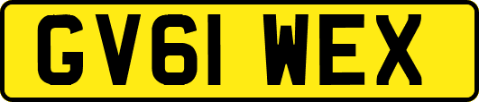 GV61WEX