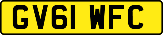 GV61WFC