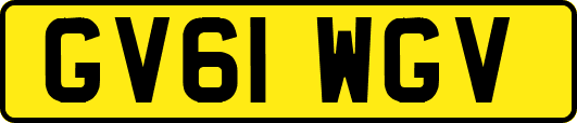 GV61WGV