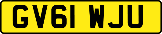 GV61WJU