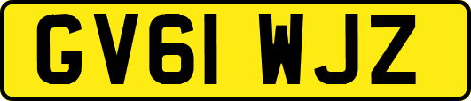 GV61WJZ