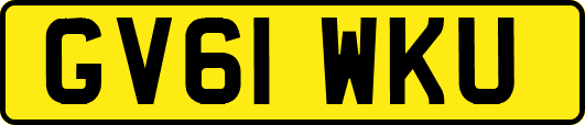 GV61WKU