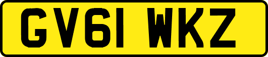 GV61WKZ