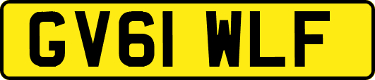 GV61WLF