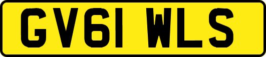 GV61WLS