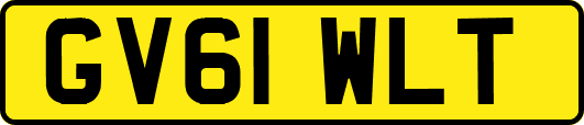 GV61WLT