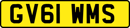 GV61WMS