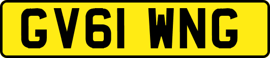 GV61WNG