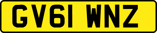 GV61WNZ