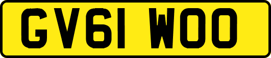 GV61WOO