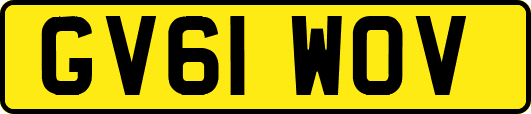GV61WOV