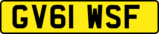 GV61WSF