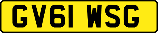GV61WSG