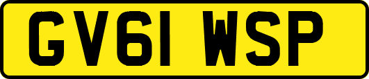 GV61WSP
