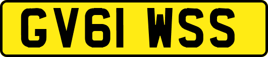 GV61WSS