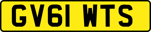 GV61WTS