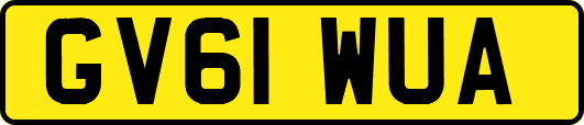 GV61WUA