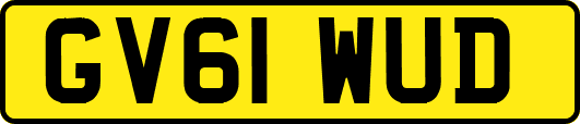 GV61WUD