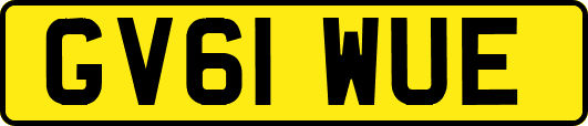 GV61WUE