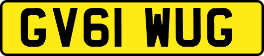 GV61WUG