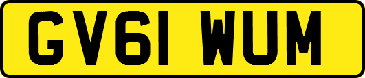 GV61WUM