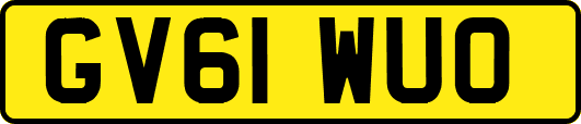 GV61WUO