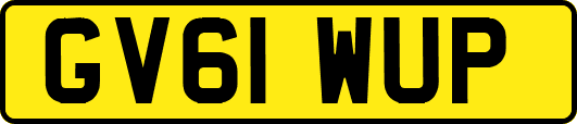 GV61WUP