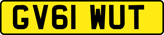 GV61WUT