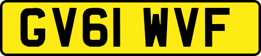 GV61WVF