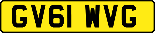 GV61WVG
