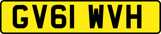 GV61WVH