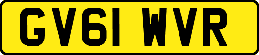GV61WVR