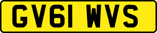 GV61WVS