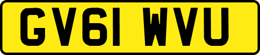 GV61WVU