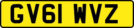 GV61WVZ