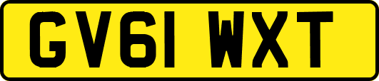 GV61WXT