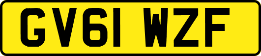 GV61WZF