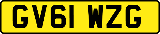 GV61WZG
