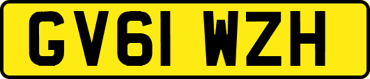 GV61WZH