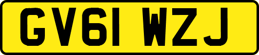 GV61WZJ