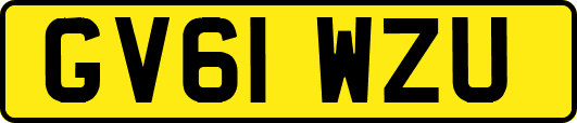 GV61WZU