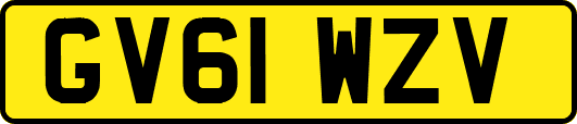 GV61WZV