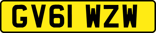 GV61WZW