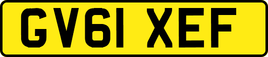 GV61XEF