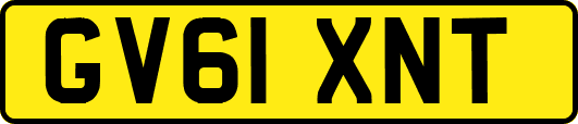 GV61XNT